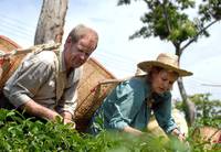 Кадр Schicksalstage in Bangkok