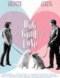 Лучший друг мужчины