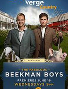 The Fabulous Beekman Boys