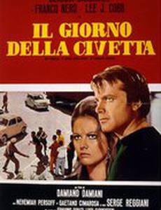 Сова появляется днем