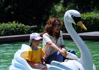 Кадр Сваты 4