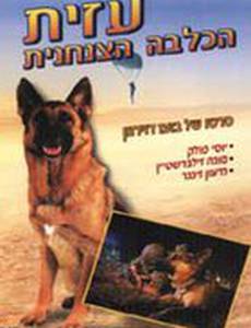 Azit Hakalba Hatzanhanit