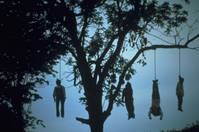 Кадр Ночь живых мертвецов