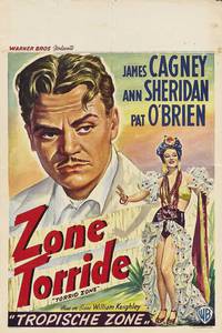 Постер Torrid Zone