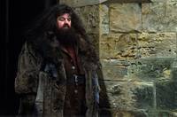 Кадр Гарри Поттер и философский камень