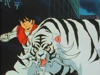 Кадр Чудотворные рыцари