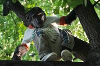 Кадр Ирония любви