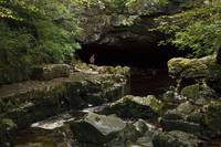 Кадр Мерлин