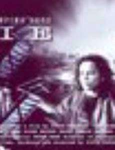 Let Sleeping Dogs Lie