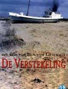 Безбилетный пассажир