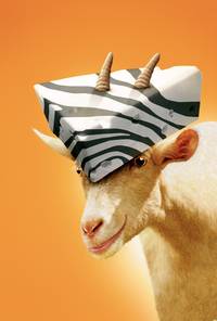 Постер Бешеные скачки