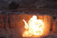 Кадр Бриллиантовые псы