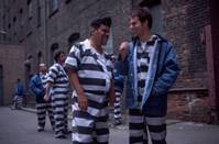 Кадр Добро пожаловать в Коллинвуд