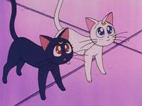 Кадр Красавица-воин Сейлор Мун Эс