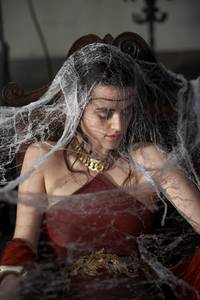 Кадр Мерлин