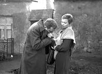 Кадр Двадцать дней без войны