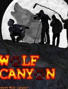 Каньон волка