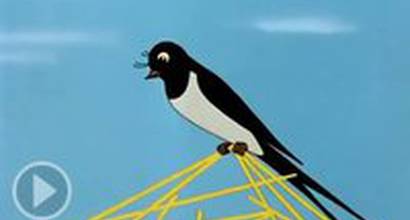 Мультфильм