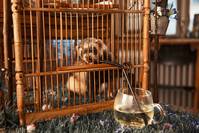 Кадр Отцовство