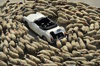 Кадр Мария, ему не нравится еда