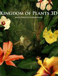 Kingdom of Plants 3D
