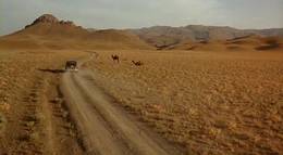 Кадр из фильма "Побег из Гулага" - 1