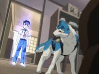 Кадр Сказочный мушкетер Красная Шапочка (видео)