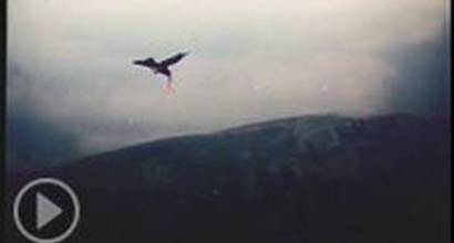 Начало фильма