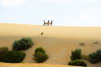 Кадр Послесвадебный разгром