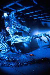 Кадр Экстро 2: Вторая встреча