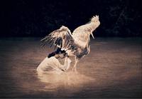 Кадр Пепел и снег