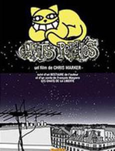 Коты свободы