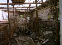 Кадр На Дерибасовской хорошая погода, или На Брайтон Бич опять идут дожди