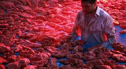 Кадр из фильма "Третье желание" - 2