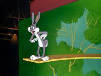 Кадр Кролик ныряющий с высоты