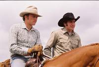 Кадр Горбатая гора