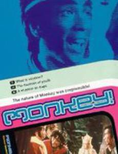 The Fountain of Youth