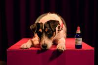 Кадр Connie & Co.