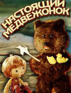 Настоящий медвежонок