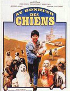 Дом с 40 собаками