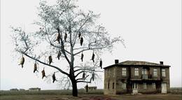 Кадр из фильма "Трилогия: Плачущий луг" - 2