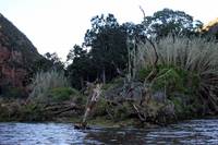 Кадр Проект Динозавр