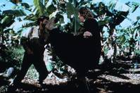 Кадр Идущий в огне