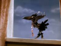 Кадр Боцман и попугай