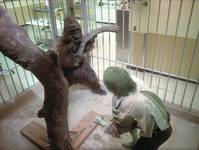 Кадр Невероятный Халк