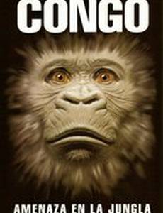 Конго
