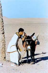 Кадр Астерикс и Обеликс: Миссия Клеопатра