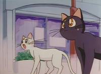 Кадр Красавица-воин Сейлор Мун Эр