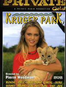 Крюгер парк (видео)