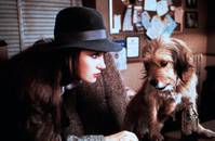 Кадр О, божественный пес!